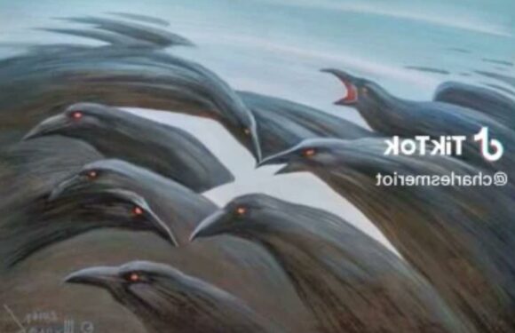 What you see first in this optical illusion reveals if you’re looking for love or always on the move – so which are you? | The Sun