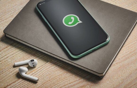 WhatsApp trick helps you find out how many texts you’ve sent and received