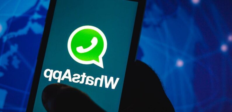 WhatsApp update lets you spam group chats with up to 100 images or videos