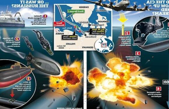 Who DID blow up the Nord Stream pipeline?