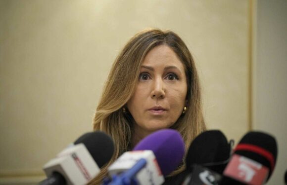 Who is Andrew Tate's lawyer Tina Glandian? | The Sun