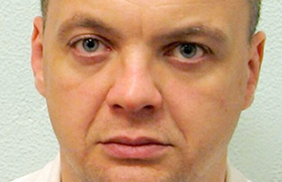 Who is Gary Dobson and why did he kill Stephen Lawrence? – The Sun | The Sun