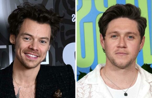 Why Niall Horan's Fans Think His New Album Will Feature Harry Styles Collab