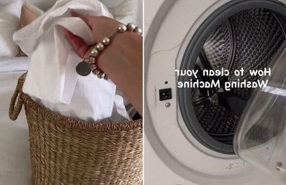 Why you need to deep clean your washing machine now