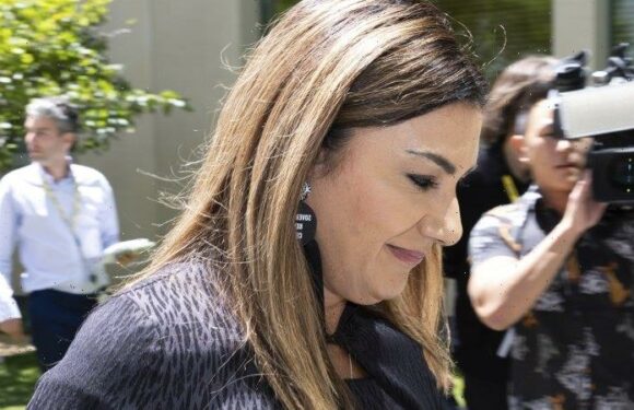 Woke in flight: Greens grapple with generational schism