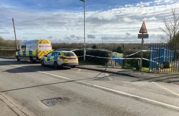 Woman, 23, among two arrested over ‘murder’ of man found suffering from horrific injuries in park | The Sun