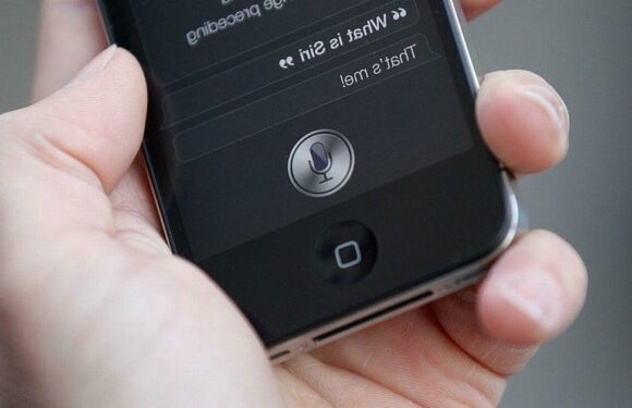 Woman ‘had no idea’ she was the voice of Siri – and Apple never paid her