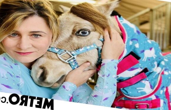 Woman makes adorable matching clothes for miniature horses and their owners