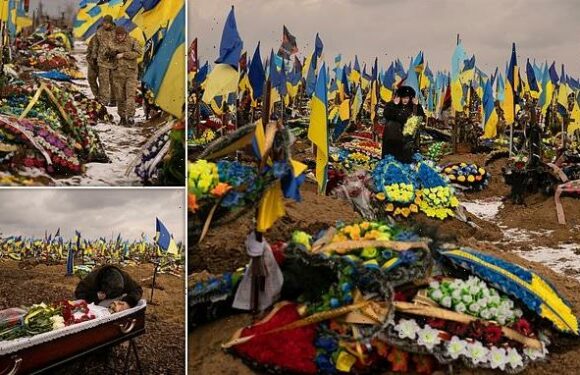 Woman stands in Kharkiv's 'field of sorrows' as war rages on