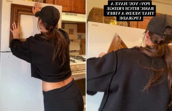 Woman updates her ‘basic b***h’ fridge to make it more ‘vibey’… but safe to say not everyone’s convinced | The Sun