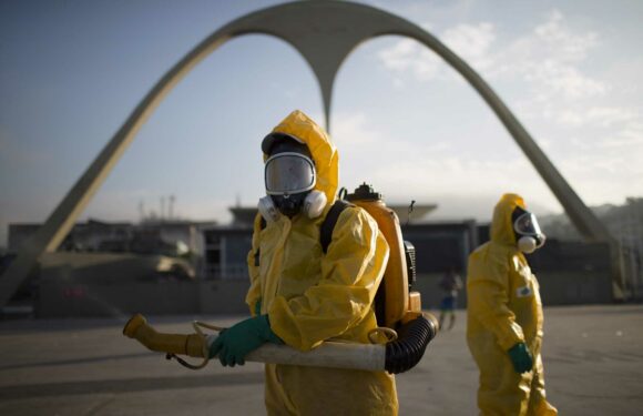 Wuhan Covid 'lab leak' firm STILL doing US-funded deadly bat virus tests that 'could spark new pandemic' | The Sun