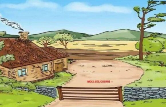 You have to be cool as ice to spot what’s wrong in this picture in less than five seconds | The Sun