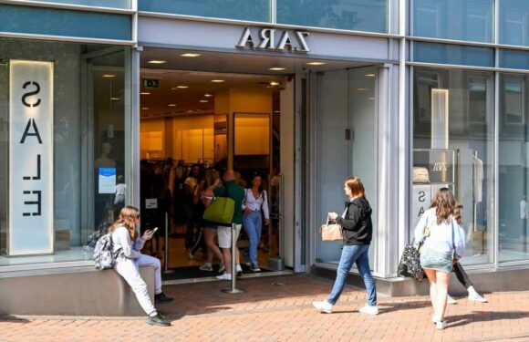 Zara shoppers in stitches over ‘monstrosity’ handbag that looks just like a kettlebell – and it’s not cheap | The Sun