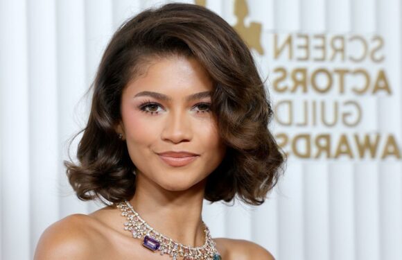 Zendaya Looks Stunning in Floor Length Floral Gown at SAG Awards 2023