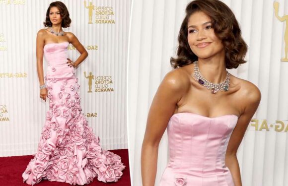 Zendaya blooms in pink gown on the 2023 SAG Awards red carpet