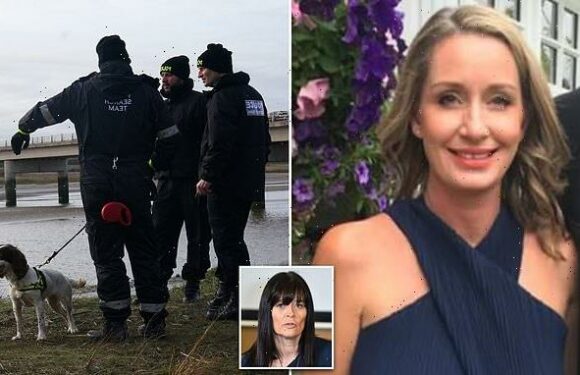 'Nikki is NOT an unfit parent and I've never seen any red flags'