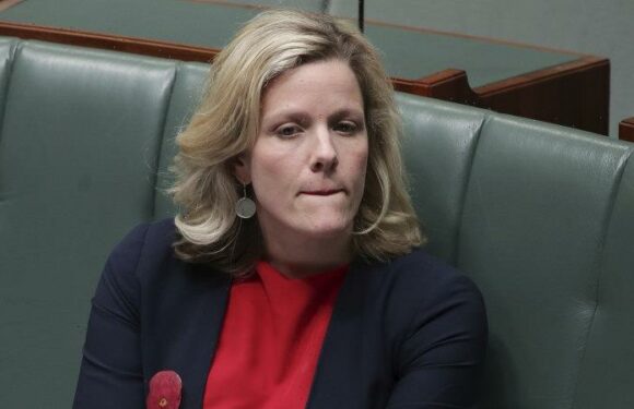 ‘Australia is not a soft target’: Cyber ransom payments in firing line