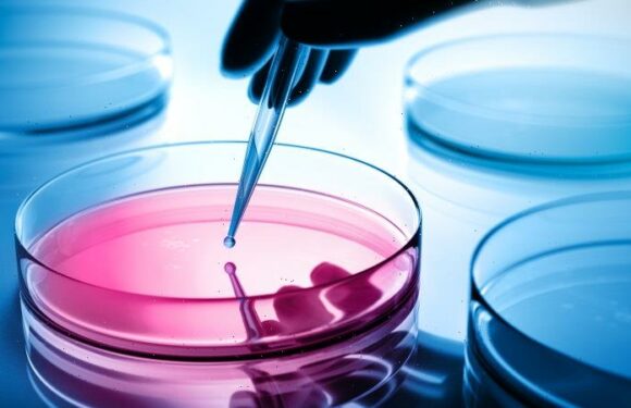 ‘Psychopaths get an edge’: Half of young researchers harassed or bullied, says study