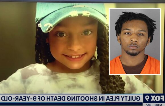 20-Year-Old Man Pleads Guilty To Fatally Shooting 9-Year-Old While She Was On Trampoline