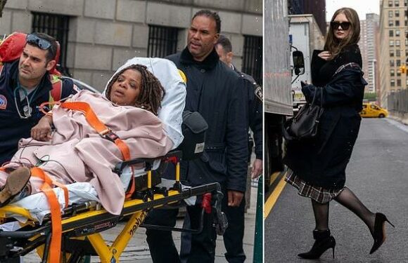 Anna Delvey's ex-lawyer COLLAPSES in court and is taken in ambulance