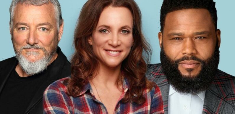 Anthony Anderson To Star In Public Defenders ABC Pilot; Liz Astrof To Showrun & Randall Einhorn To Direct