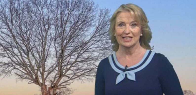 BBC Breakfast's Carol Kirkwood wows fans in nautical dress as they gush 'you look amazing!' | The Sun