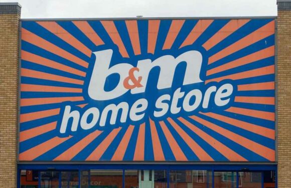 B&M shoppers are only just realising there’s a special way to find bargains as low as 10p | The Sun