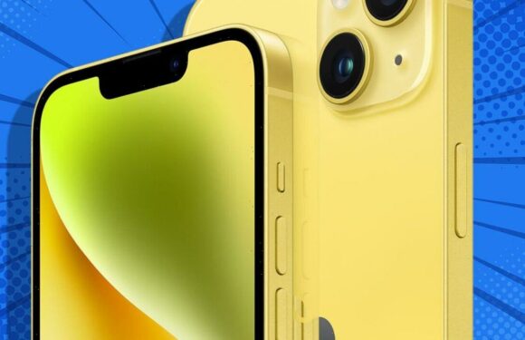 Bold new iPhone goes on sale today! How to get this Apple device be…