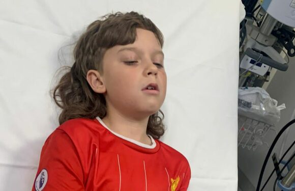 Boy, 10, who had his skin ripped off by savage dog is suing the beast’s owners