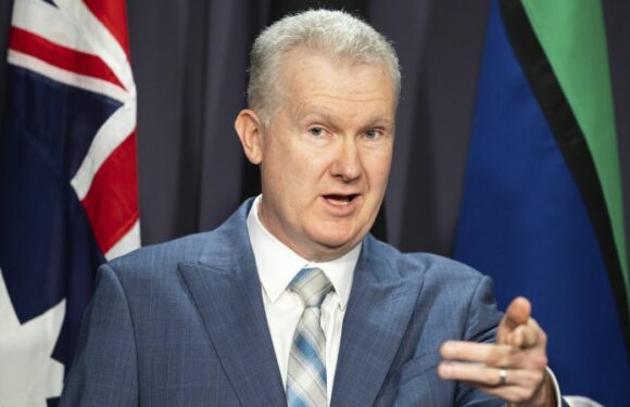 Brace for big wage hike, government tells business