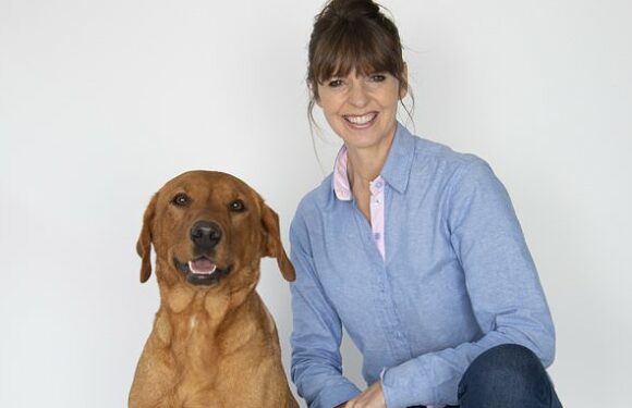 CHRISTOPHER STEVENS: Experts fix cranky pooches and marriages, too