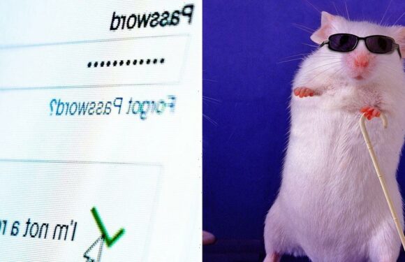 ChatGPT AI posed as a blind person and tricked a human into doing its bidding