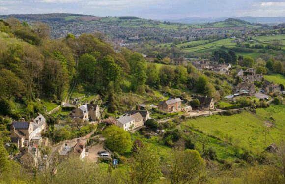 Child 'heard screaming for help from moving car' as cops launch urgent hunt for driver of 'large vehicle' | The Sun