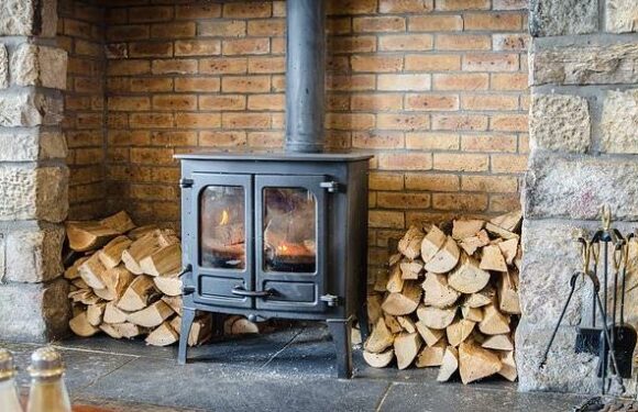 Committee could study case for ban on wood burners in towns and cities