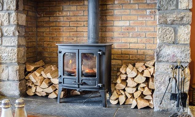 Committee could study case for ban on wood burners in towns and cities