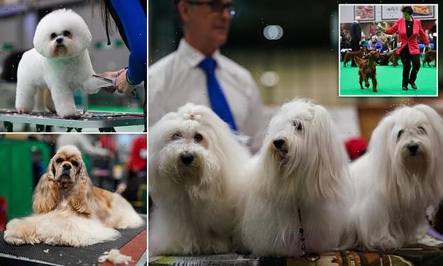 Crufts hopefuls arrive for the first day of competition in Birmingham