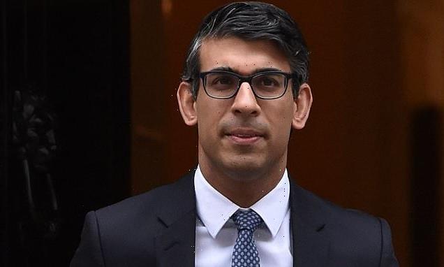 DOMINIC LAWSON: Perhaps Rishi Sunak has more steel than we thought