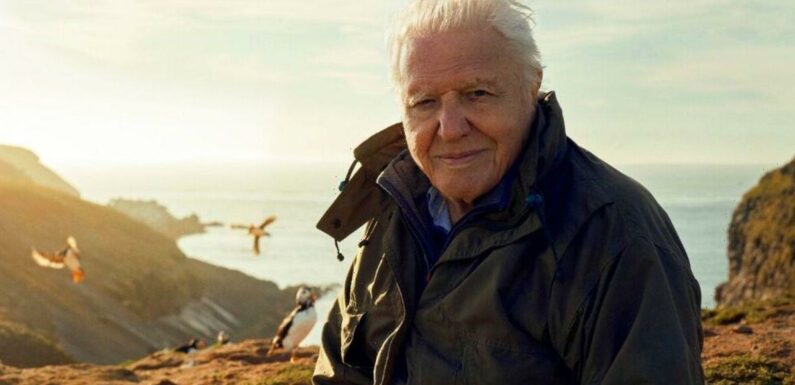 David Attenborough enthusiastic for BBC show never done before