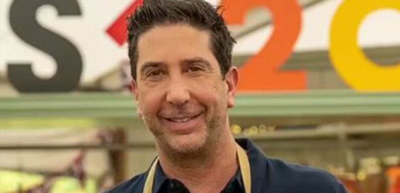 David Schwimmer branded ‘rude’ by Celebrity Bake Off co-star after he WINS the show | The Sun