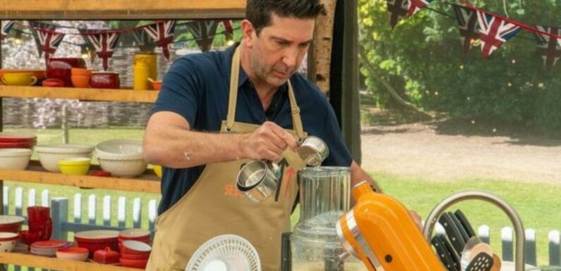 David Schwimmer ‘didn’t want to talk to anybody’ on Bake Off