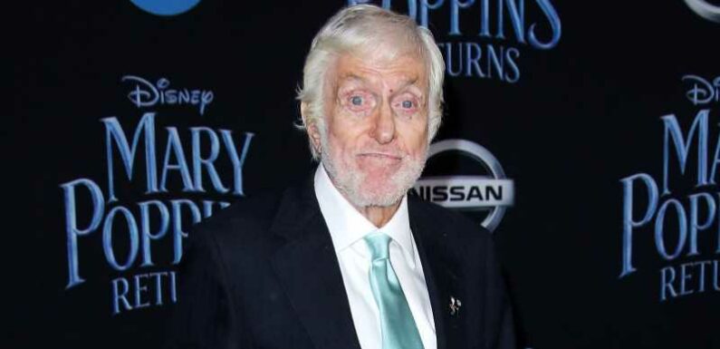 Dick Van Dyke Suffered 'Minor Injuries' After Car Accident in Malibu