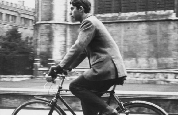 Did King Charles get hit by a bus? | The Sun