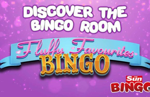 Discover the unique features of the Fluffy Favourites Bingo Room on Sun Bingo | The Sun
