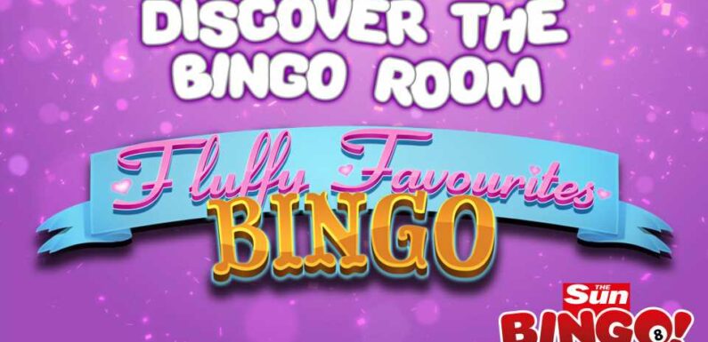 Discover the unique features of the Fluffy Favourites Bingo Room on Sun Bingo | The Sun