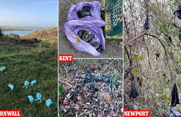 Dog owners hang poo bags from trees or leave in SAME spot on ground