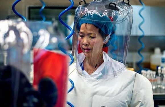 Downing Street WILL look into theory that Covid started in Wuhan lab