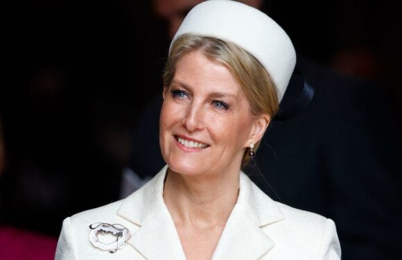 Duchess Sophies brooch is not just a charming decoration – pictures