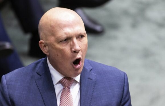 Dutton’s Nazi symbol ban shut down by government