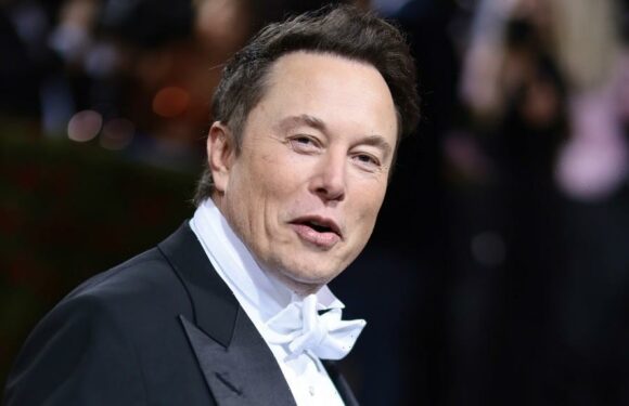 Elon Musk Thanks Disney, Apple for Remaining Two of Twitters Biggest Advertisers