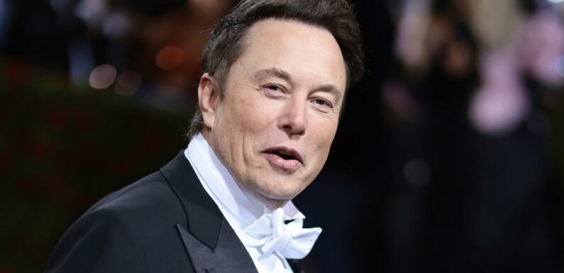 Elon Musk Thanks Disney, Apple for Remaining Two of Twitters Biggest Advertisers